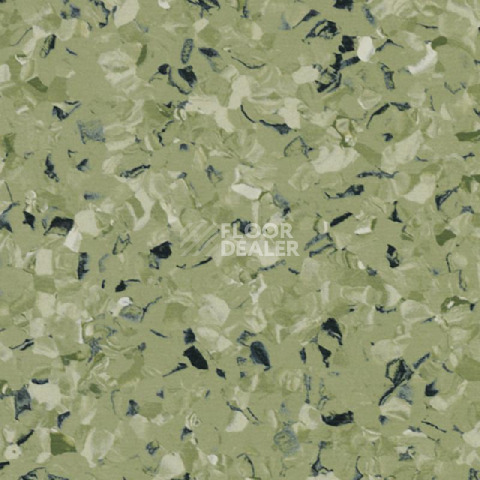 Линолеум Tarkett iq Toro Sc GREEN 0576 фото 1 | FLOORDEALER